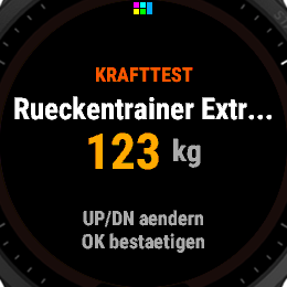 RM-Eingabe im Krafttest